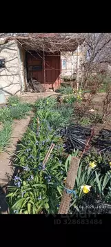 Участок в Крым, Симферопольский район, Трудовское с/пос, Живописное ...