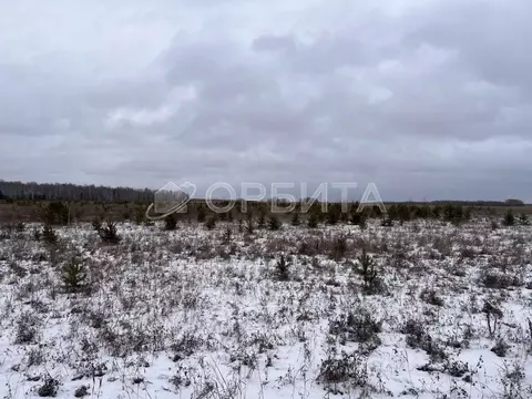 Участок в Тюменская область, Тюменский муниципальный округ, ...