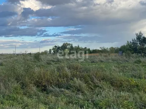 Участок в Амурская область, Благовещенский район, с. Волково  (11.84 ...