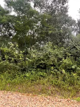 Участок в Приморский край, Надеждинский район, Аргус СНТ ул. 18-я ...