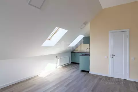 Студия Санкт-Петербург Октябрьская наб., 108 (40.8 м)