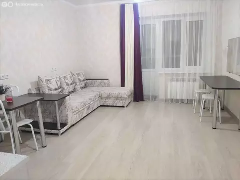 Квартира-студия: село Михайловка, Сливовая улица, 1 (26.7 м)