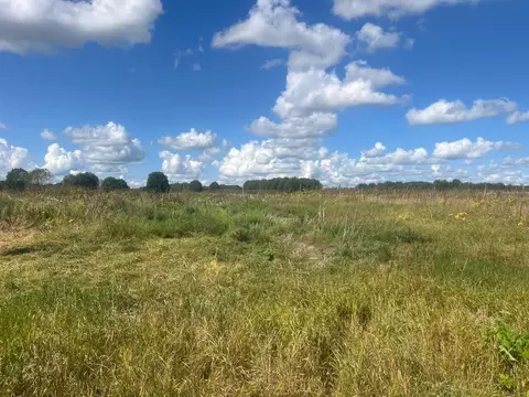 Участок в Ленинградская область, Волосовский район, Рабитицкое с/пос  ...