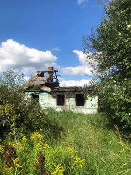 Участок в Брянская область, Навля рп ул. Чапаева, 44 (20.0 сот.)