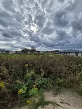 Участок в Калининградская область, Гурьевский муниципальный округ, ...