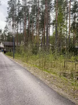 Участок в Всеволожский район, городской посёлок Кузьмоловский (20 м)