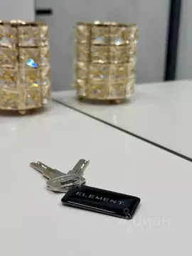 Студия Санкт-Петербург, Санкт-Петербург, Сестрорецк ул. ...