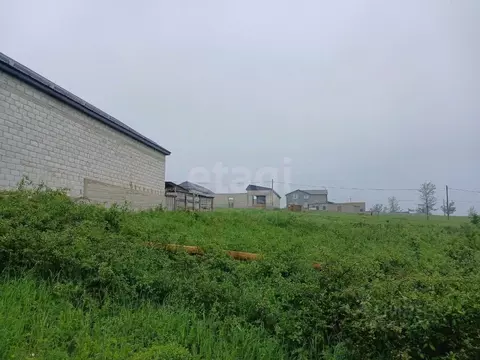 Участок в Ингушетия, Назрань  (6.0 сот.)