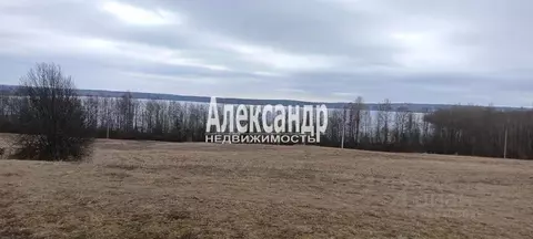Участок в Ленинградская область, Приозерский район, пос. Мичуринское, ...