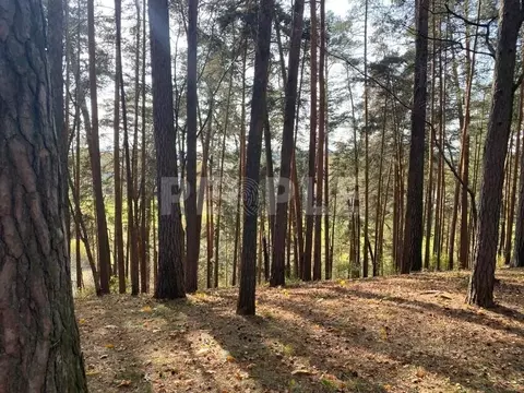 Участок в Московская область, Красногорск городской округ, пос. ...