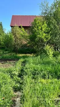 Дом в Свердловская область, Екатеринбург Рябинушка СНТ, ул. Кленовая ...