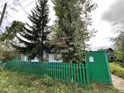 Дом в Хакасия, Алтайский район, с. Новомихайловка ул. Новая, 4 (64 м)