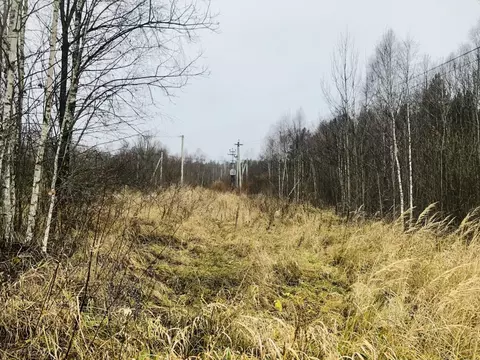Участок в Смоленская область, Смоленский район, д. Телеши ул. ...