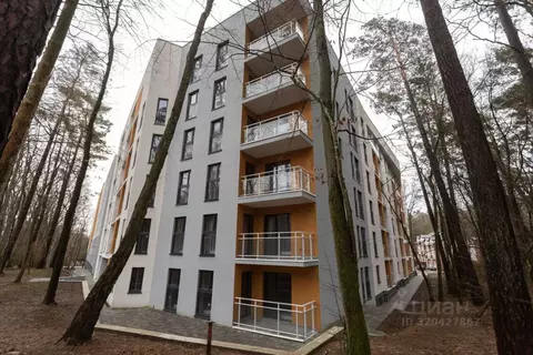 2-к кв. Калининградская область, Светлогорск ул. Кленовая, 2 (44.8 м)