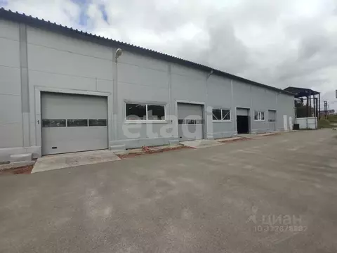 Склад в Брянская область, Брянский район, Снежское с/пос, с. Толмачево ...