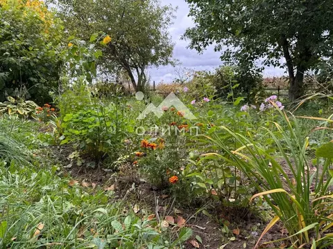 Дом в Вологодская область, д. Перьево  (48 м)