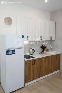 Квартира-студия: Екатеринбург, улица Гагарина, 61А (20.8 м)