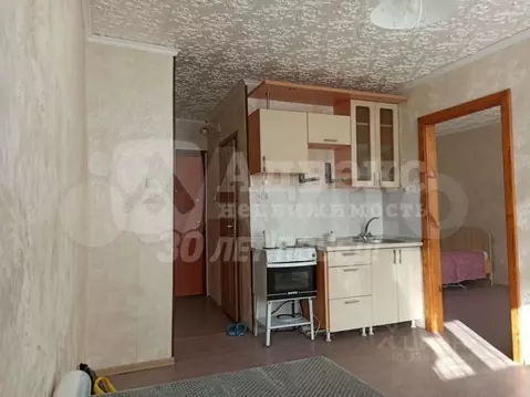 1-к кв. Тюменская область, Тюмень ул. 30 лет Победы, 76 (26.9 м)