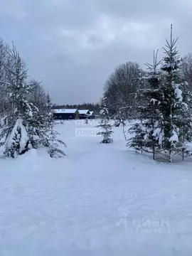 Участок в Московская область, Дмитровский муниципальный округ, д. ...