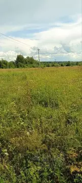 Участок в Новгородская область, Чудовский район, Трегубовское с/пос, ...