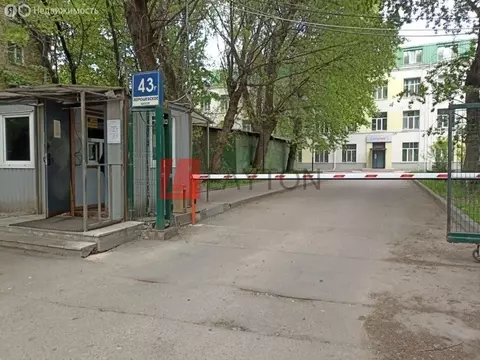 Помещение свободного назначения (240 м)
