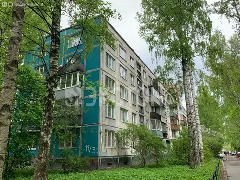 1-комнатная квартира: Санкт-Петербург, улица Вавиловых, 11к3 (31.2 м)