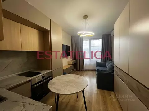 Студия Москва Нагатинская наб., 10А (23.5 м)