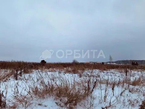 Участок в Тюменская область, Тюменский район, с. Каменка  (20.1 сот.)