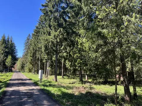 Участок в Московская область, Дмитровский муниципальный округ, ...