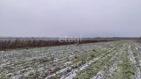Участок в Сахалинская область, Анивский городской округ, с. ...
