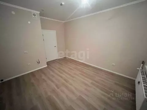 Студия Ленинградская область, Всеволожский район, Заневское городское ...