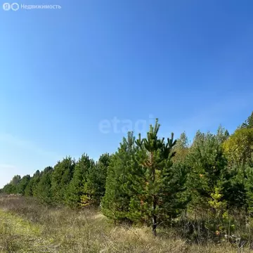 Участок в Тюменская область, Нижнетавдинский муниципальный округ, ...