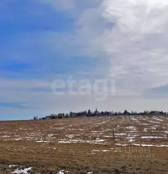 Участок в Ярославская область, Ярославский муниципальный округ, ...