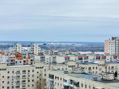 1-к кв. Волгоградская область, Волгоград Тулака мкр, ул. Туркменская, ...