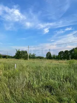 Участок в Воронежская область, Новоусманский район, Хреновское с/пос, ...