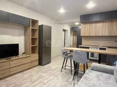 Студия Вологодская область, Череповец Рыбинская ул., 33Б (28.46 м)