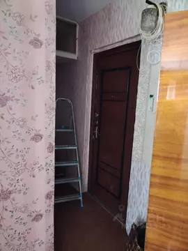 1-к кв. Алтайский край, Барнаул ул. Чеглецова, 66 (36.0 м)