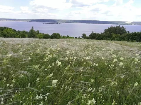 Участок в Татарстан, Верхнеуслонский район, Вахитовское с/пос, д. ...