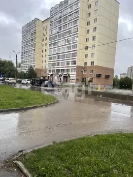 2-к кв. Пермский край, Пермь ул. Аркадия Гайдара, 1 (55.5 м)