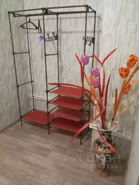 Студия Красноярский край, Красноярск Караульная ул., 39Б (33.0 м)