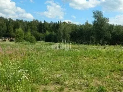 Участок в Калининградская область, Гурьевский муниципальный округ, ...