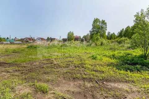 Участок в Тюменская область, Тюмень Якорь садовое товарищество, ул. ...