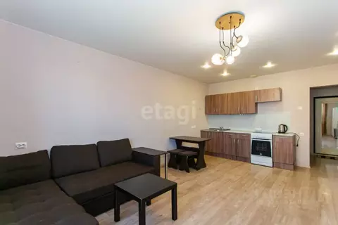 Студия Новосибирская область, Новосибирск ул. Виктора Шевелева, 36 ...