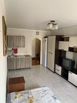 Студия Башкортостан, Уфа ул. Ферина, 1/1 (23.0 м)