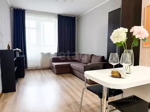 Студия Санкт-Петербург ул. Орджоникидзе, 52 (25.8 м)