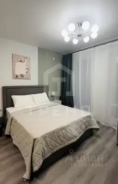 Студия Санкт-Петербург Дальневосточный просп., 23 (23.5 м)