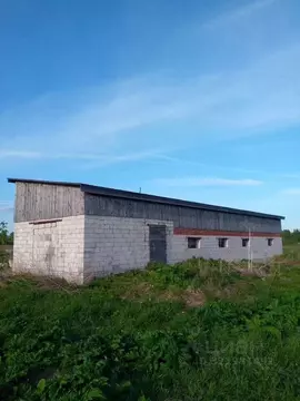 Участок в Новгородская область, Новгородский район, Бронницкое с/пос, ...