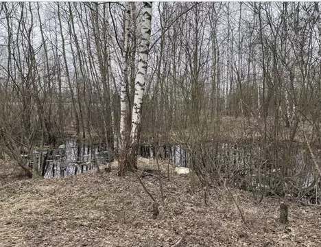 Участок в Московская область, Орехово-Зуевский городской округ, пос. ...