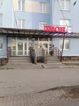 Помещение свободного назначения в Пермский край, Пермь ул. Грибоедова, ...