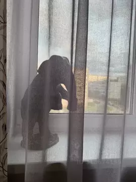 2-к кв. Псковская область, Псков ул. Крестки, 3 (80.0 м)